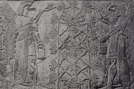 Annunaki a strom ivota